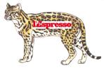 gattopardo espesso